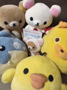 こーちん様帰宅後写真