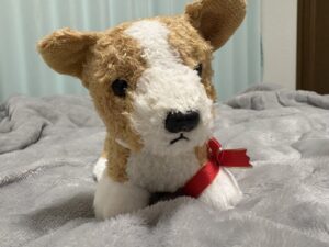 うるみ様帰宅後写真