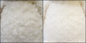 毛並ふわふわ治療