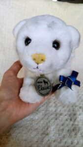 ベスター様帰宅後写真