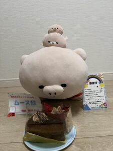 ムース様帰宅後写真