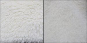 スヌーピー様毛並みふわふわ