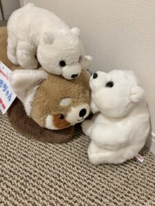 ゆきちゃん帰宅後写真