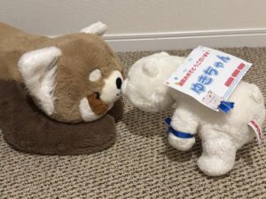 ゆきちゃん帰宅後写真