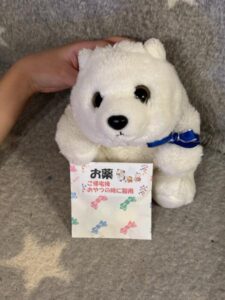 ゆきちゃん帰宅後写真