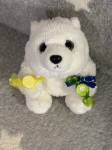 ゆきちゃん帰宅後写真