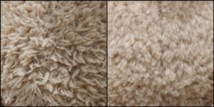 ししょう様毛並みふわふわ