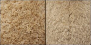 ダッフィー様毛並ふわふわ治療