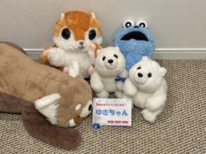 ゆきちゃん帰宅後写真