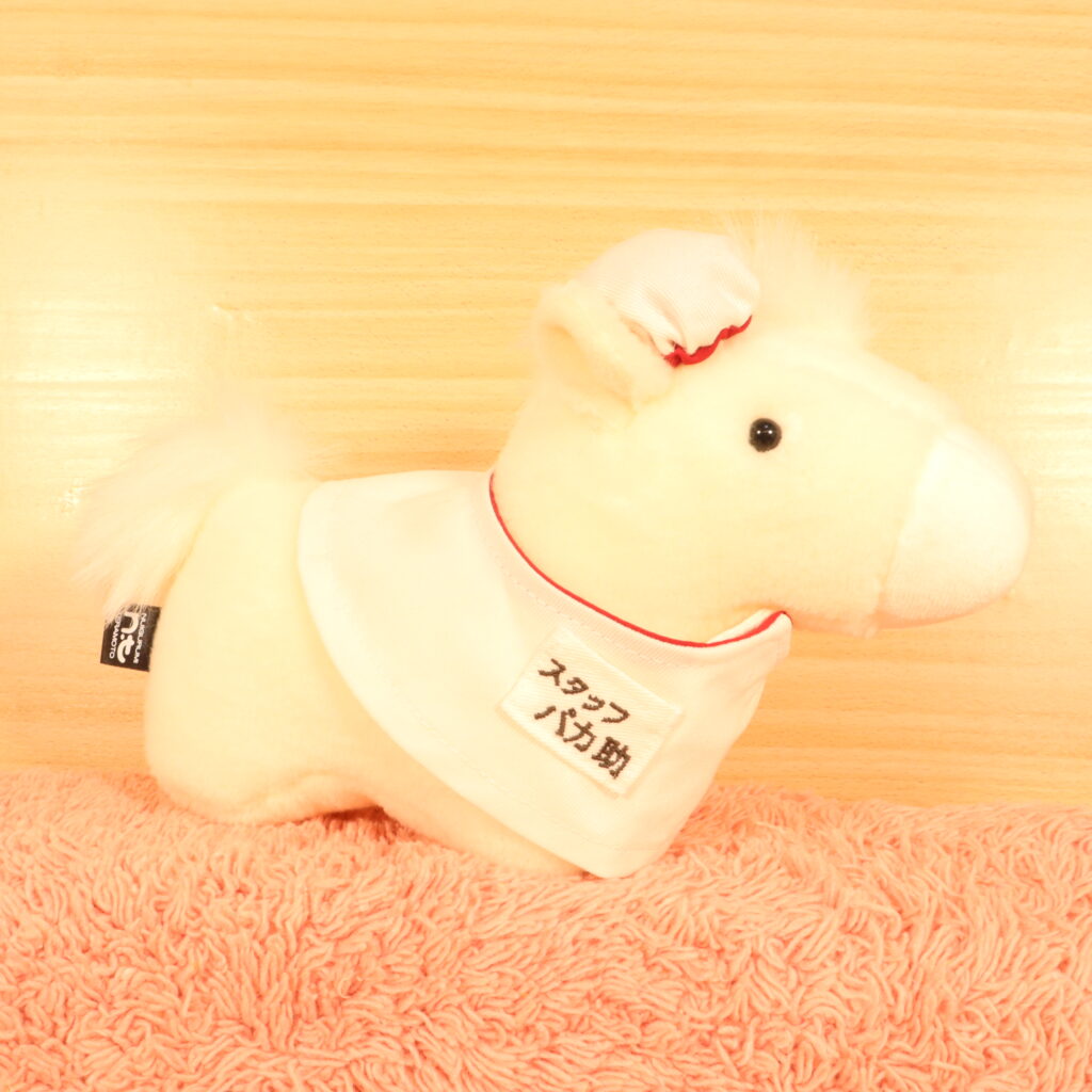 スタッフ パカ助