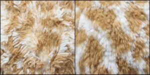 らら様毛並ふわふわ治療