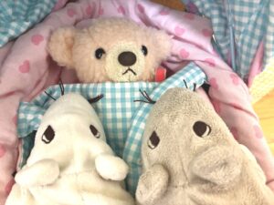 みゅうたん様帰宅後写真