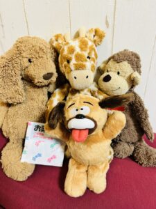 らら様帰宅後写真