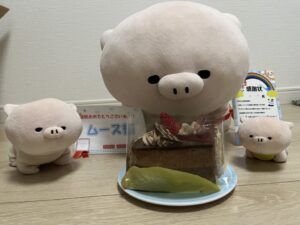 ムース様帰宅後写真