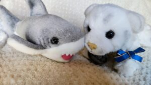 ベスター様帰宅後写真