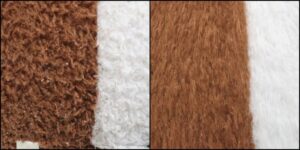 チップ様毛並みふわふわ