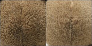 ねこちゃん毛並ふわふわ治療