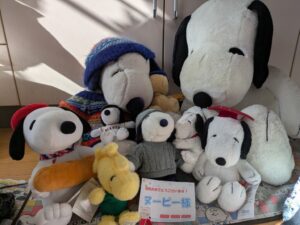 ヌーピー様帰宅後写真