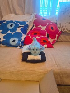 くー太様帰宅後写真