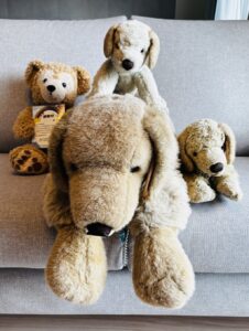 マロン様帰宅後写真