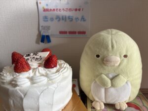 きゅうりちゃん帰宅後写真