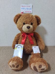 テディちゃん帰宅後写真