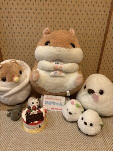 はむちゃん帰宅後写真