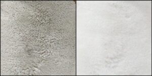 ラスカル様毛並みふわふわ治療