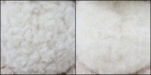 うーたん様毛並ふわふわ