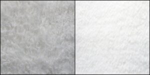 メイちゃん毛並みふわふわ