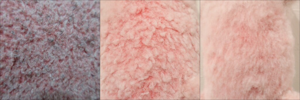 ウパちゃんピーリング＆毛並みふわふわ