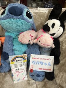 ウパちゃん帰宅後写真