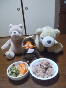 モンチッチ様帰宅後写真