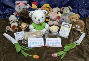 くまちゃん＆にゃんこ様帰宅後写真