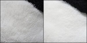 パンちゃん毛並みふわふわ