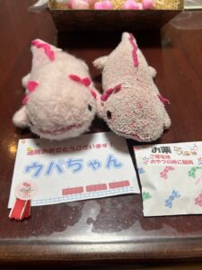 ウパちゃん帰宅後写真