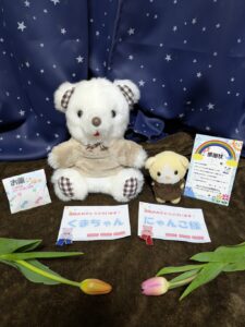 くまちゃん＆にゃんこ様帰宅後写真