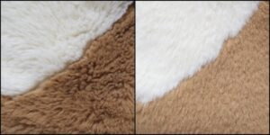 花春様毛並みふわふわ