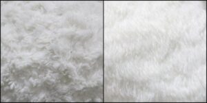 ファミちゃん毛並みふわふわ