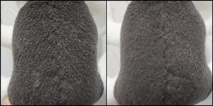 へるがー様毛並みふわふわ治療