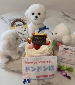 ドンドン様帰宅後写真