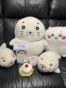 ゴマ様帰宅後写真