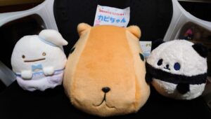 カピちゃん帰宅後写真