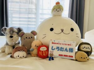 しろたん様帰宅後写真