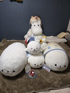 みにたん様帰宅後写真