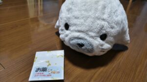 もこ様帰宅後写真