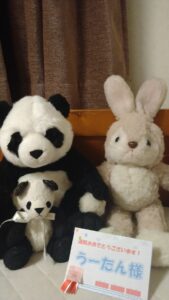 うーたん様帰宅後写真