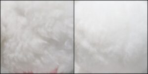 ドンドン様毛並ふわふわ