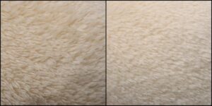 カモ様毛並ふわふわ