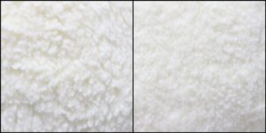 ぴっぴ様毛並みふわふわ